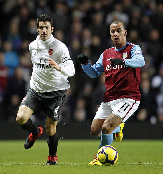 尽管目前主 尽管目前主